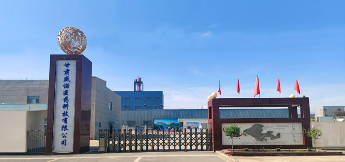 ﻿甘肃盛诺医药科技有限公司